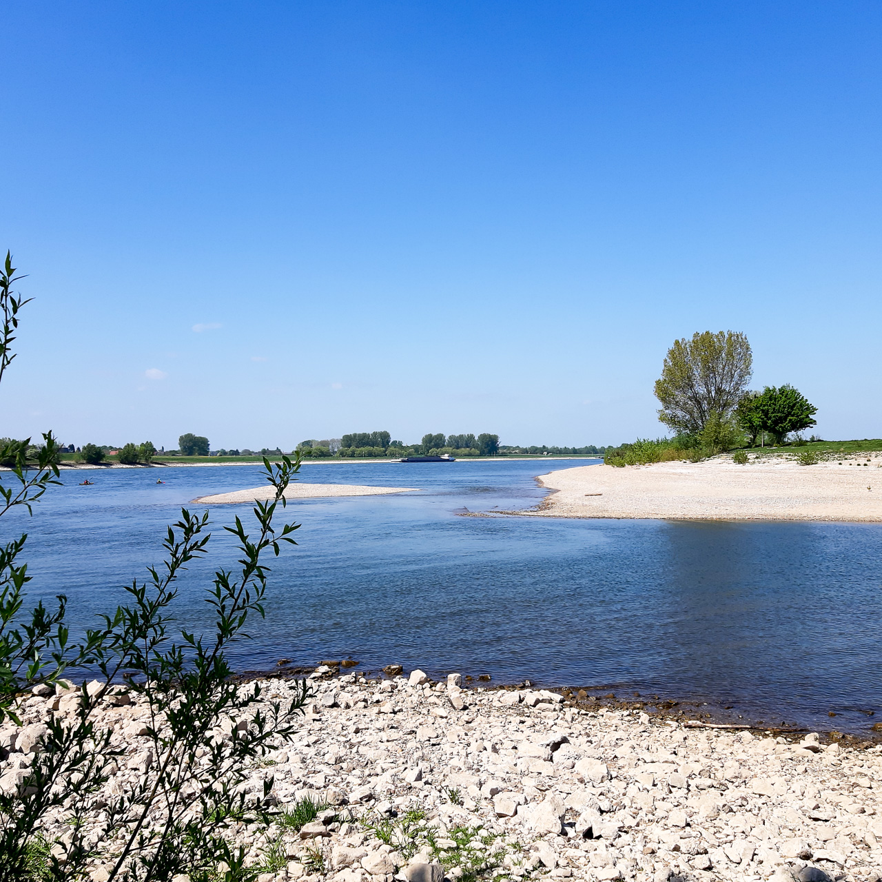 Am Rhein bei Wesel Bisslich