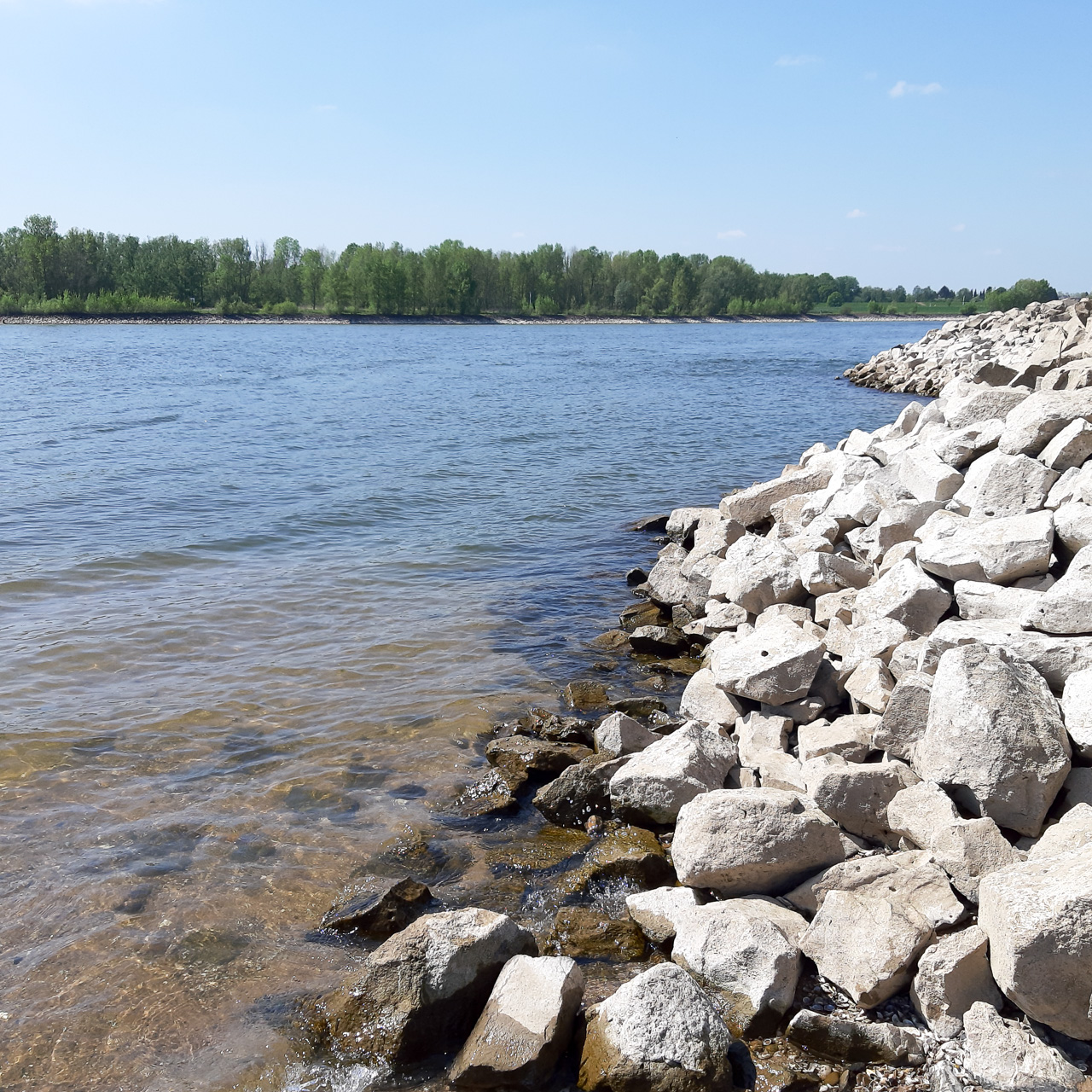 Am Rhein bei Wesel Bisslich