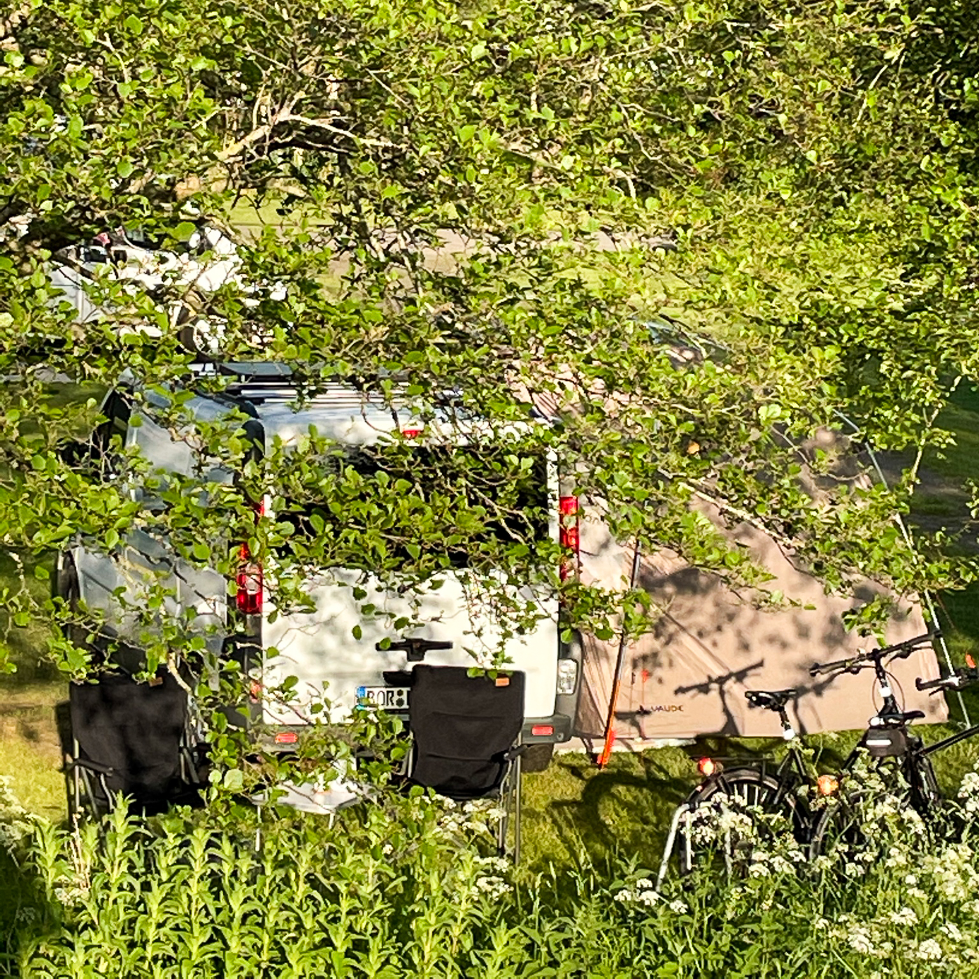 Am Rhein bei Wesel Bisslich